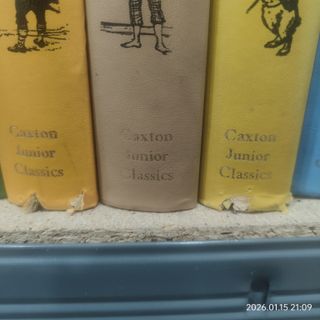 Lote libros juveniles en inglés