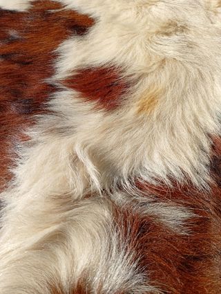 Alfombra piel de vaca auténtica