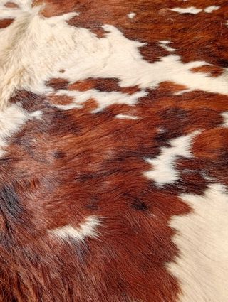 Alfombra piel de vaca auténtica