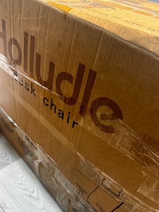 Silla de Oficina Ergonómica HOLLUDLE Negra