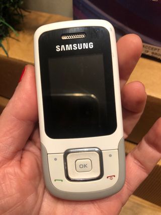 Samsung E1360B Cellulare Vintage