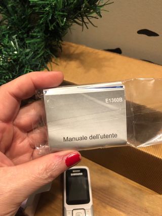 Samsung E1360B Cellulare Vintage