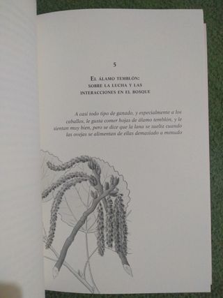 El bosque: De árboles, personas y veinticinco m...