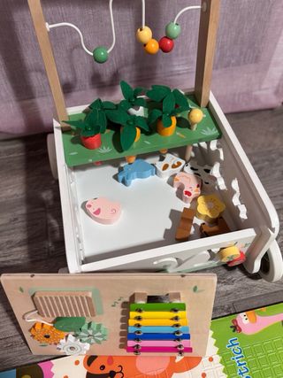 Girello in Legno Xilofono Orto Primi Passi