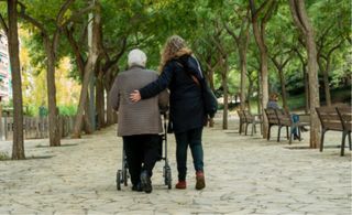 Acompáñante Profesional