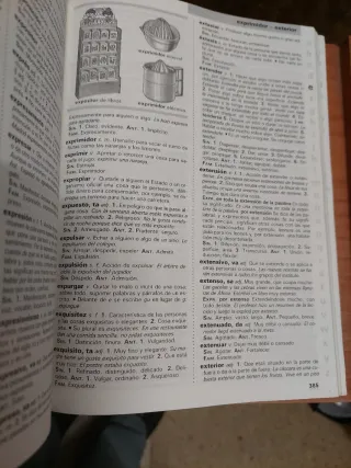 Diccionario Escolar Santillana/Santillana Schoo...