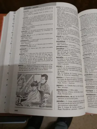 Diccionario Escolar Santillana/Santillana Schoo...