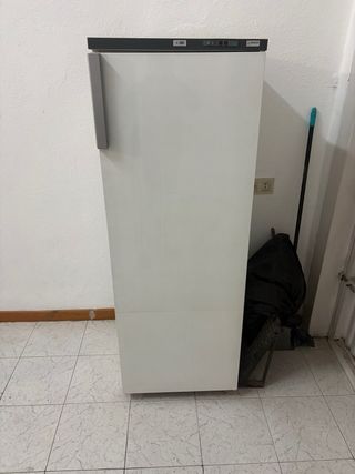 Congelador vertical Philips