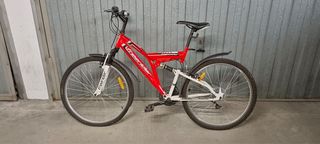 Bicicletas varios colores, dos tamaños diferenfes