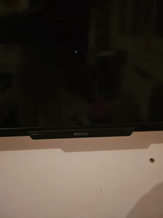 Televisor Philips Negro