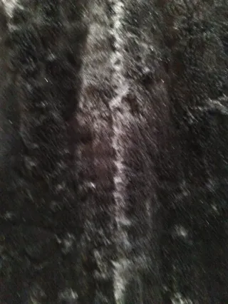 Abrigo pelo negro T40