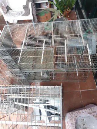 Jaula doble cría canarios