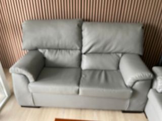 Sofá 2 plazas gris. Precio negociable