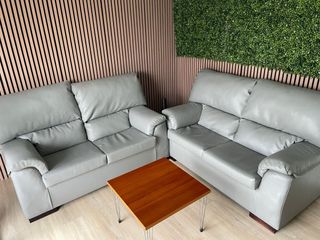 Sofá 2 plazas gris. Precio negociable