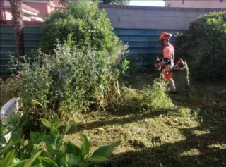Césped artificial y jardinería