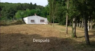 Limpieza de parcelas