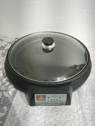 Plancha Eléctrica Micro Computer Controller