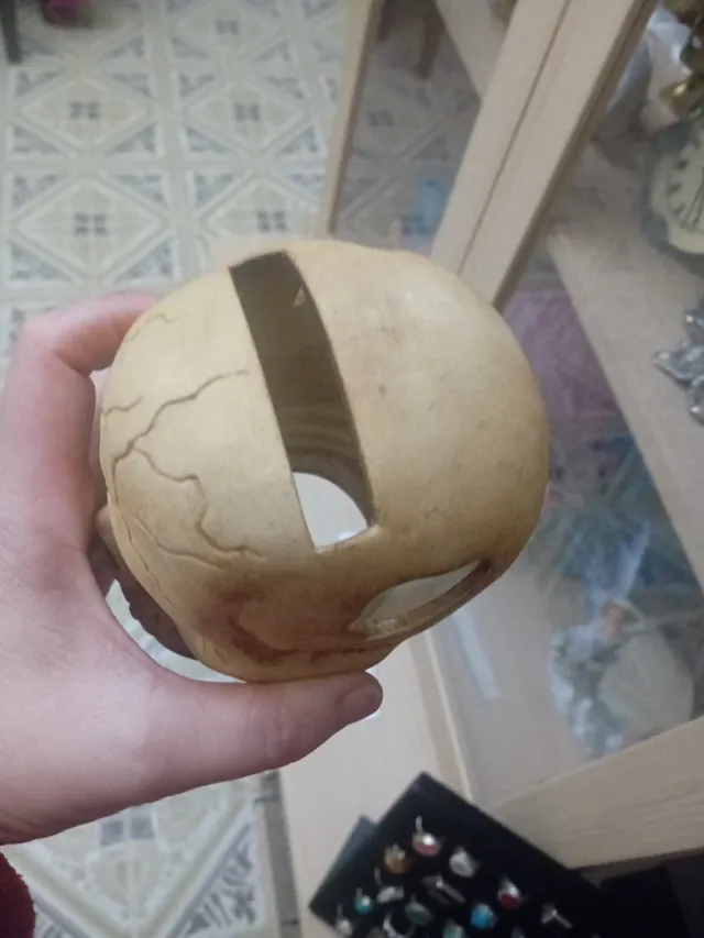 Portapenne teschio vintage in argilla