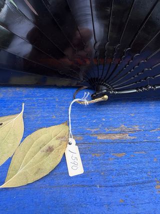 Abanico clásico vintage de puntilla