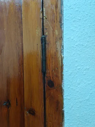 Puerta doble de madera antigua