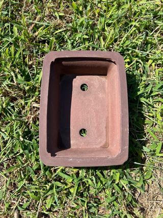 Maceta Bonsái Marrón