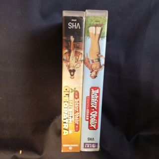 DOS VIDEOS VHS ASTÉRIX Y OBÉLIX