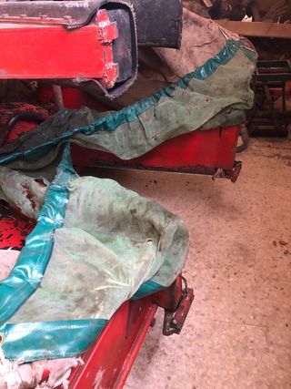 Recolector aceitunas y frutos secos