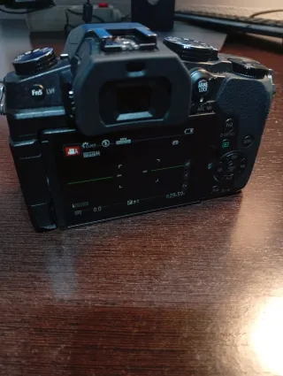 Panasonic G80