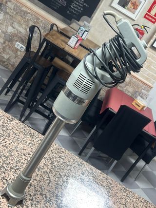 Robot Coupe 350 Batidora de Inmersión