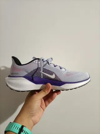 Nike Air Zoom Pegasus 41 Talla 42
