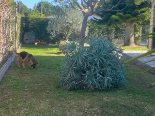 Chalet de lujo en Sanlúcar la mayor