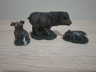 3 Cerditos Ibéricos para Belén