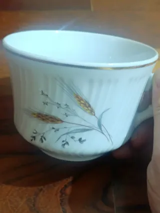 Juego Porcelana M.P. Samie-St. Yrieix-Jumilhac Fra