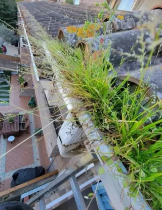 LIMPIEZA DE CANALÓNES Y TEJADOS