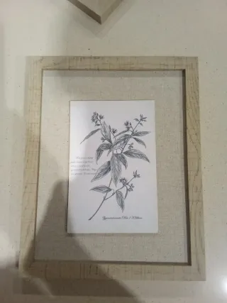 Cuadro Decorativo Flor