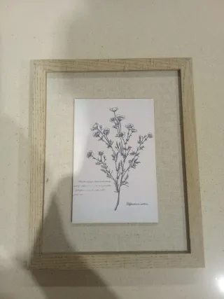 Cuadro Decorativo Flor