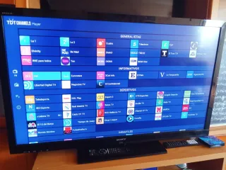 Sony TV 46 con Chromecast Smart Tv