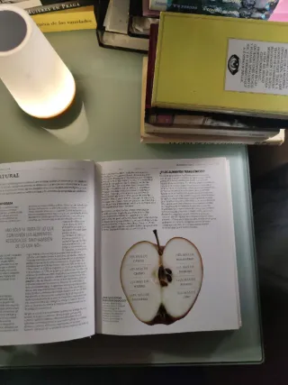 Comida que sana. Libro de cocina y comida sana.