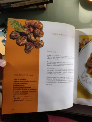 Pintxos y tapas, libro de receta de cocina.