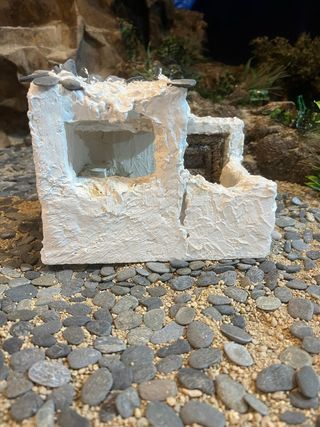 Corral Belén Alpujarreño