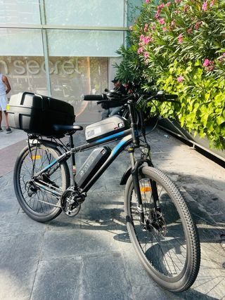 Bicicleta Eléctrica Duotts Montaña 29