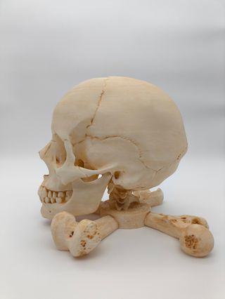 Suporte Caveira e Ossos Cruzados