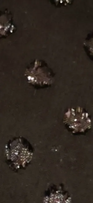 Blusa plumeti con topos brillantes