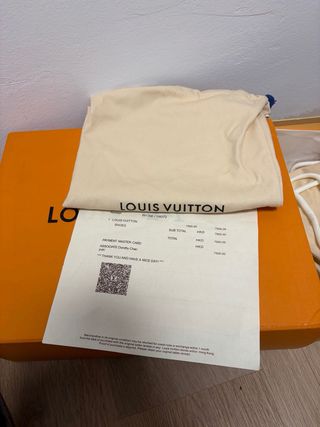 Zapatillas Louis Vuitton Skater Negras/Grises