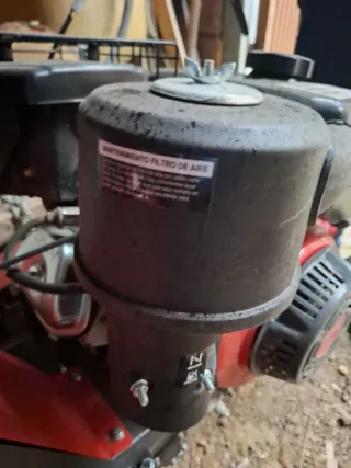 Desbrozadora Roteco W300F/P