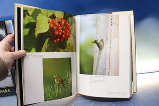 4 libros vintage fotografías a color de naturaleza.