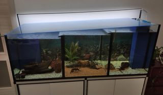 Acuario 400L 150x50x55 completo.