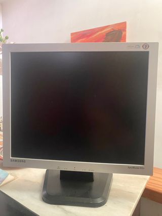 Monitor Samsung SyncMaster 913v