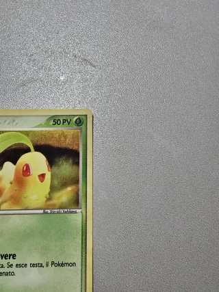 Chikorita 55/101 Reverse Holo IT