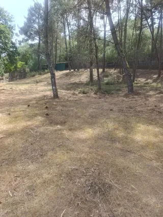 Se realizan labores de campo gondomar y alrededore